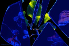 Zerbrochener Spiegel