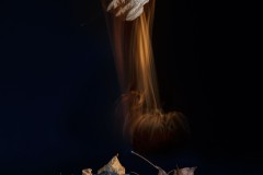 Fallendes Blatt 