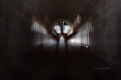 Orgel im Alten Peter