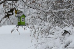 Am Vogelhaus