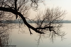 Abendstimmung im Februar