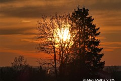 Abendstimmung