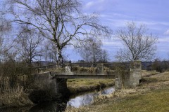 Brucker Moos