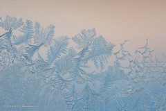 Annelies_Grasenack_Eiskristalle_P4B6711