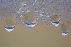 Annelies_Grasenack_Reflexion__P4B6738