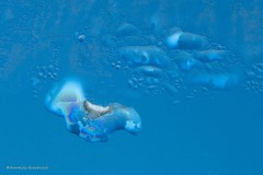 Annelies_Grasenack_Reflexionen_im_Eis_P4B6697