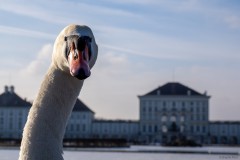 Schloss-Schwan