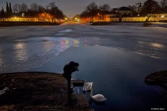 Impression am Nymphenburger Schloss
