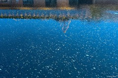 Spiegel-Therme (Bad Aibling)