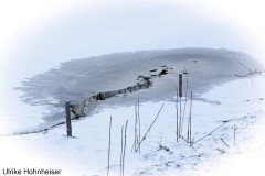 Ulrike_Hohnheiser_Wintermalerei