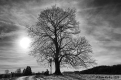 alex_pelka_2601_Winterruhe