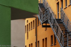 Bunt