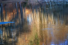 Sonnenuntergang am Spiegelweiher