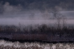 Nebel steigt über dem Eggleburger See auf