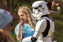 Kirschblütenträume