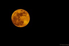 Blutmond