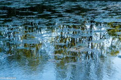 Ein Hauch von Monet