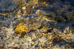 Wasser kreativ