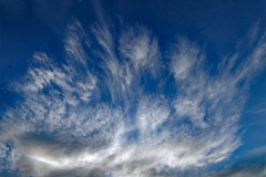 Federwolken