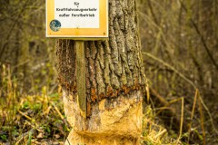 Außer Forstbetrieb