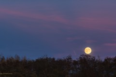 Supermond