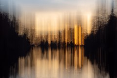 Abendlicht