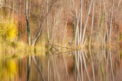 Herbstspaziergang