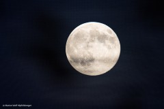 Vollmond