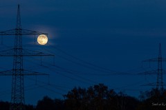 Konzentration auf seine Zirkusnummer 