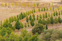 Herbst-Landschaft 