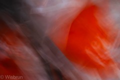 Paris-ICM