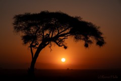 Sonnenuntergang