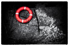 Alfons_Brueckl_15_Hilfe_