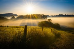 Alfons_Brueckl_19_Fruehmorgens_4893