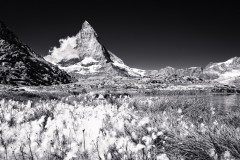 Alfons_Brueckl_22_Zermatt_1769