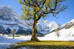 Alfons_Brueckl_23_FruehWinter_3710