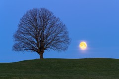 Alfons_Brueckl_24_Vollmond_6005