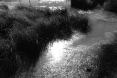 Camargue - Frankreich