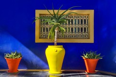Jardin Majorelle