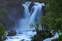 Anna_5