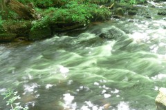 England, Devon, River Teign