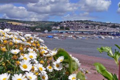 England, Devon, Shaldon Hafen
