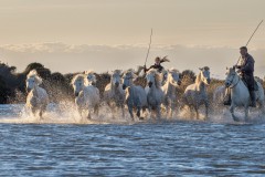 05-Brigitte_Merz__2024-04-15_19.59.29-B4153623