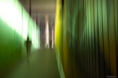 Man in Green