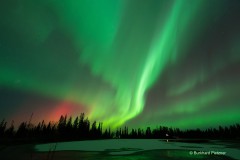 Aurora Borealis im finnischen Zentrallappland