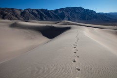 Mesquite Flat Sand Dunes