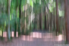 Ebersberger Forst - ICM