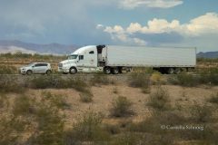 Cornelia_Schmieg_Truck