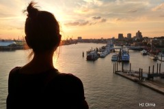 Blick auf den Hamburger Hafen