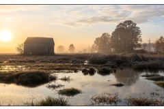 Im Aßlinger Moos am Morgen